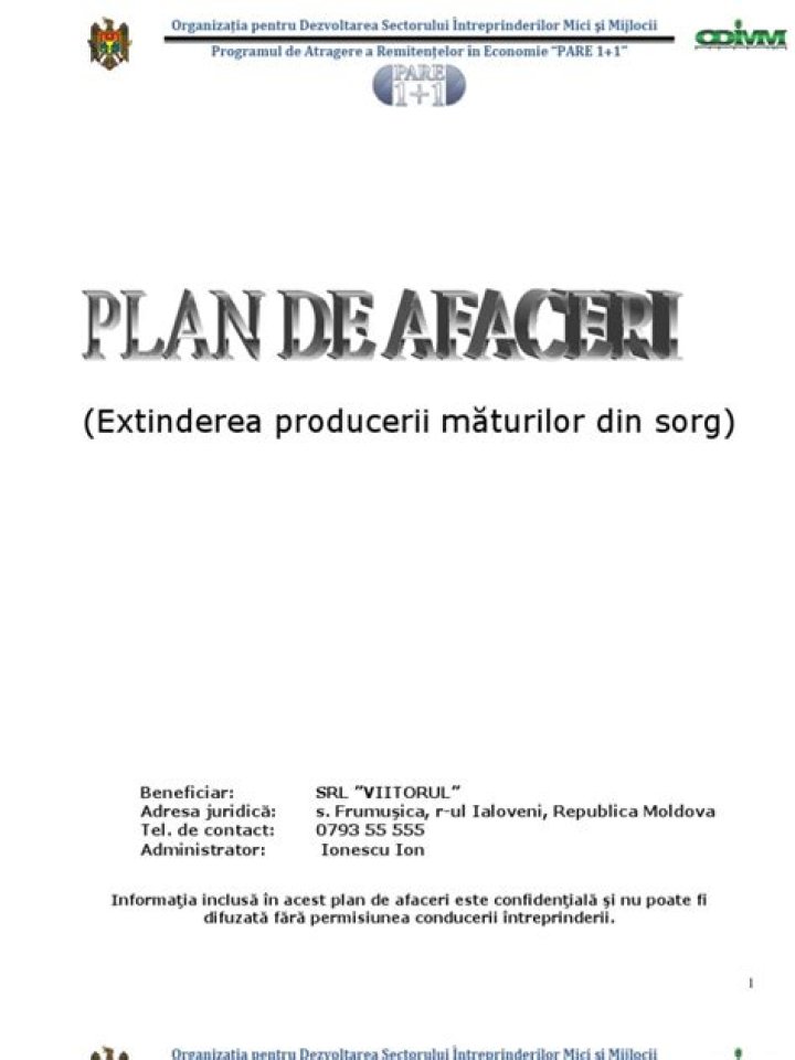 Model Plan Afaceri PDF: Ücretsiz Template ve Kitaplan İçin