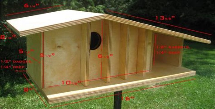 Modern Bird House Plans with Detailed Measurements PDF Download