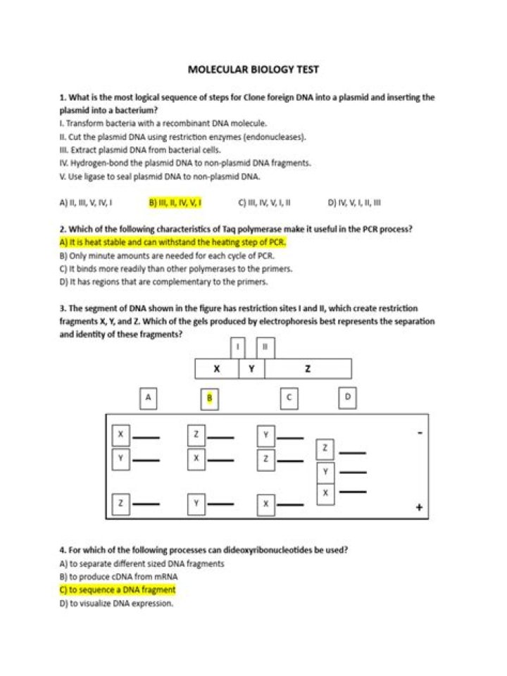 Molecular Biology Test PDF: Comprehensive Lab Analysis Guide