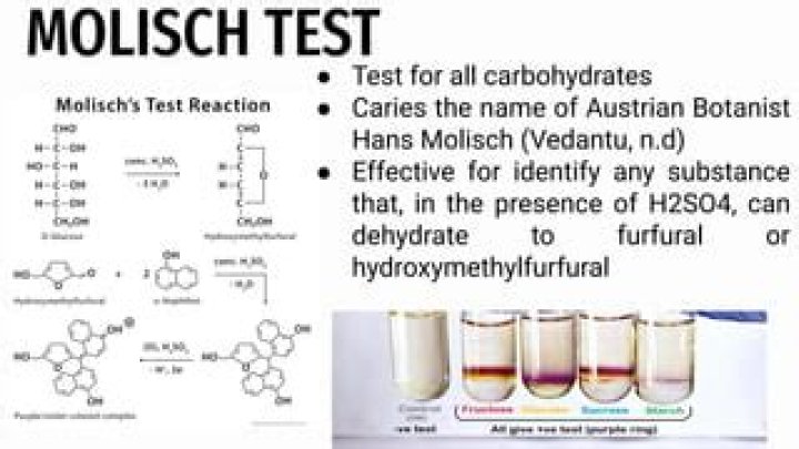 Molisch Test PDF: How to Perform & Interpret the Reaction