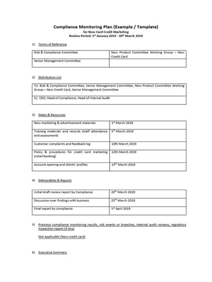 Download the Complete Monitoring Plan PDF for Effective Oversight