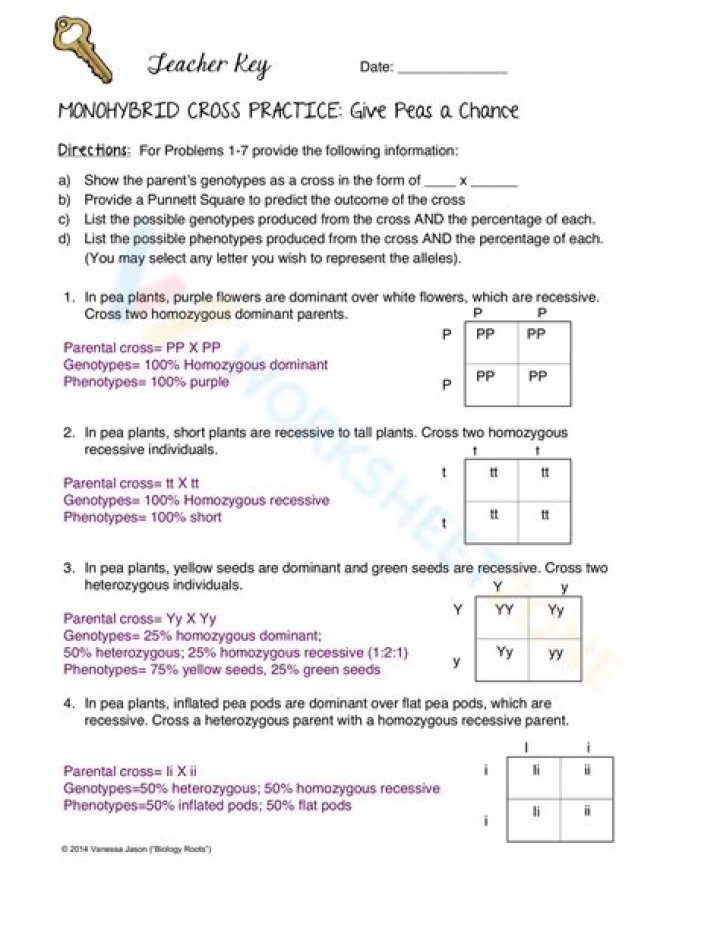 Monohybrid and Dihybrid Cross Problems with Answers PDF – Step-by-Step Guide