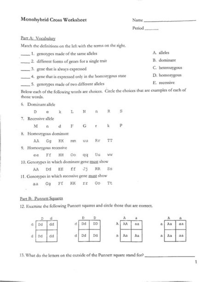 Monohybrid Cross Worksheet Answers PDF – Perfect Study Resource