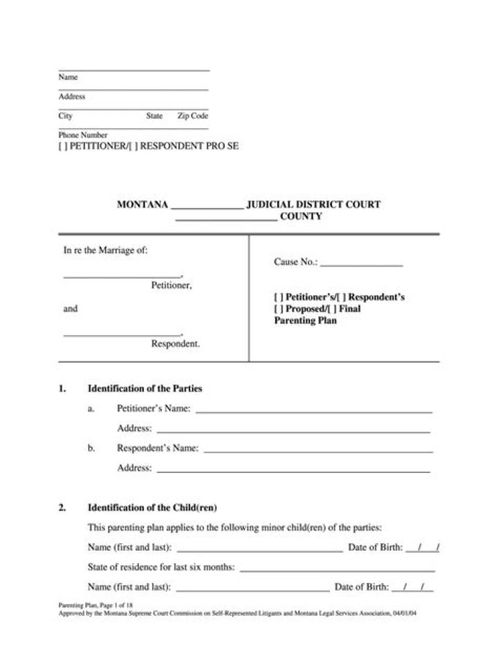 Free Montana Parenting Plan PDF – Legal Template for Custody & Visitation
