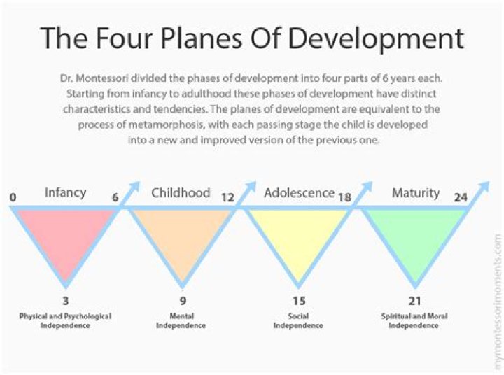 Montessori Planes of Development PDF: A Complete Guide for Parents and Educators