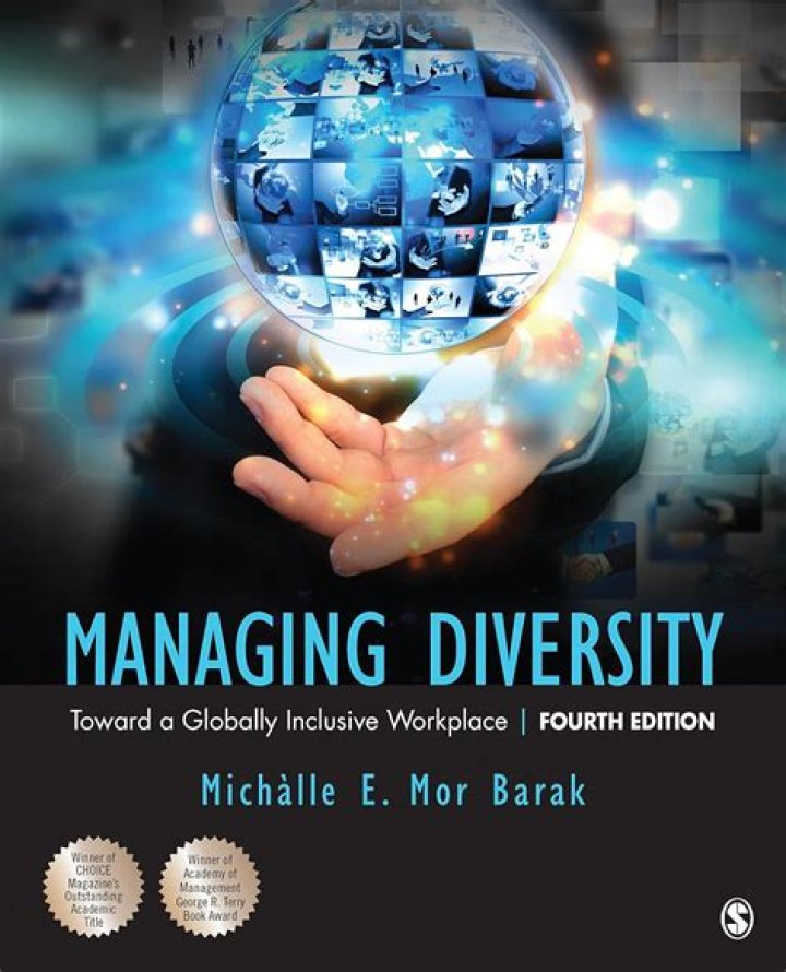 Mastering Diversity Management: A Practical Guide by Mor Barak