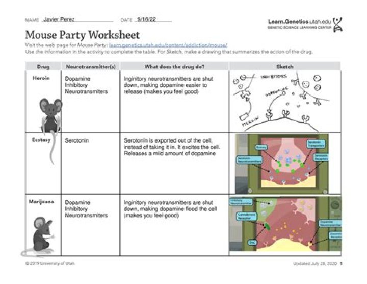 Free Mouse Party Worksheet PDF – Fun Party Activity for Kids