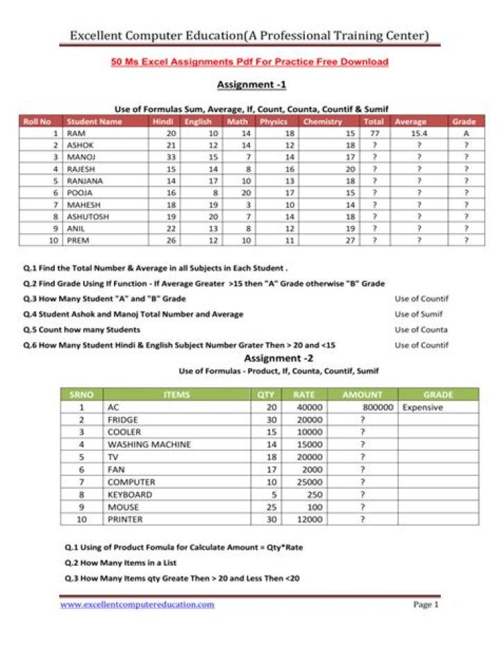 MS Excel Practical Assignment Questions PDF for Students