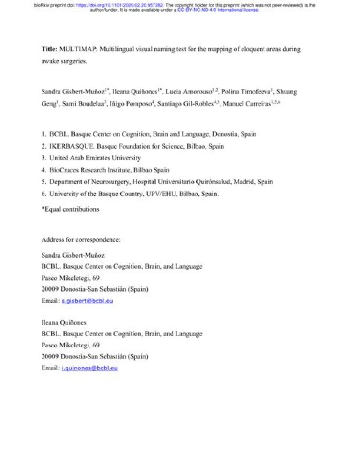 Multilingual Naming Test PDF: Accurate Translations & Consistent Branding