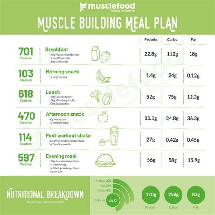 Muscle Building Diet Plan PDF – Get Lean Gains Fast