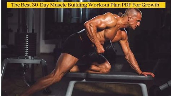 Ultimate Muscle Building Plan PDF: Gain Strength Fast
