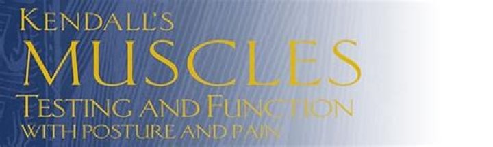 Muscle Testing and Functional Analysis: Kendall’s Protocol PDF Guide