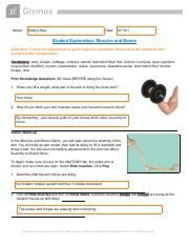 Muscles and Bones Gizmo Answers PDF: Ultimate Guide to Anatomy & Function
