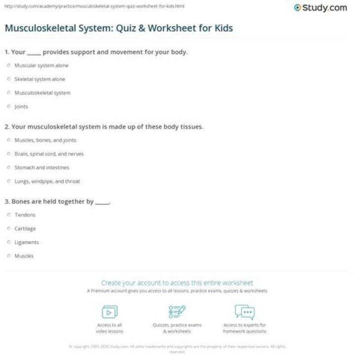 Musculoskeletal System Questions and Answers PDF: Expert Guide