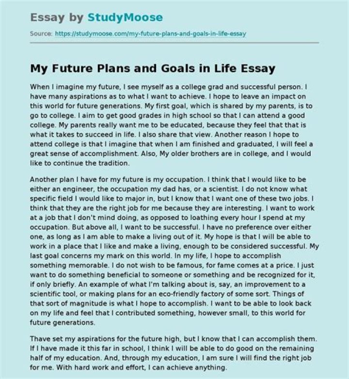 My Future Plan Essay in English PDF: A Personal Vision for Success
