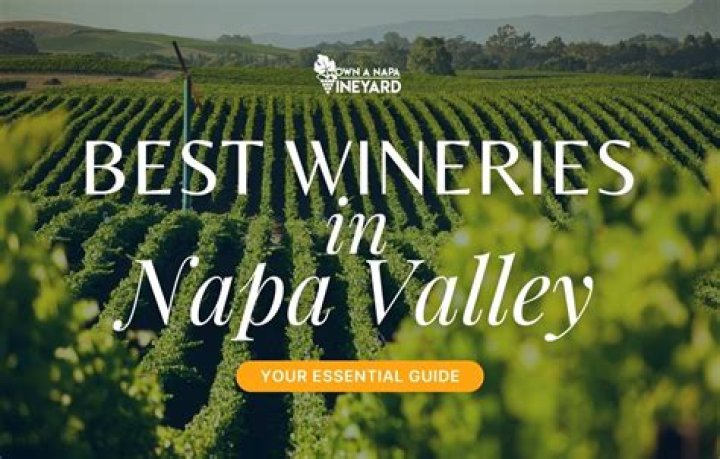 Napa Valley Wineries List PDF – Complete Guide to Top Wineries