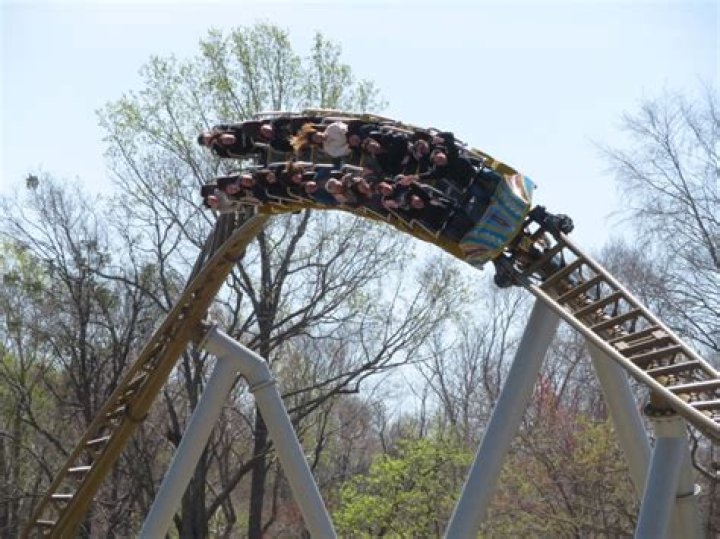 Narragansett Coaster Answers PDF Free: All You Need to Know