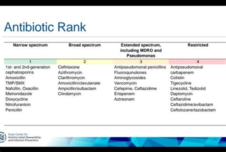 Narrow Spectrum Antibiotics List PDF: Essential Guide for Accurate Treatment