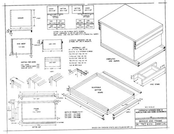 National Bee Hive Plans PDF – Download Free Beekeeping Designs