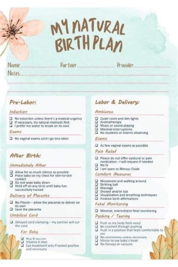 Free Natural Birth Plan Template PDF to Guide Your Childbirth