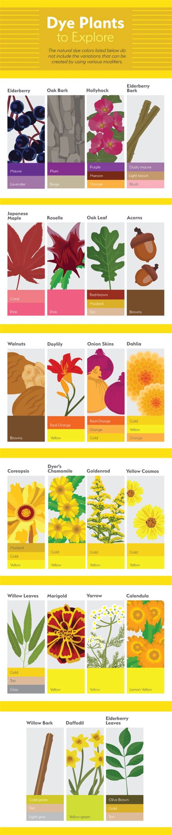 Natural Dye Plants List PDF: Grow Eco-Friendly Color from Plants