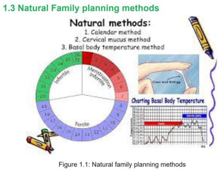 Natural Family Planning Calendar Method PDF: Accurate Tracking for Natural Conception
