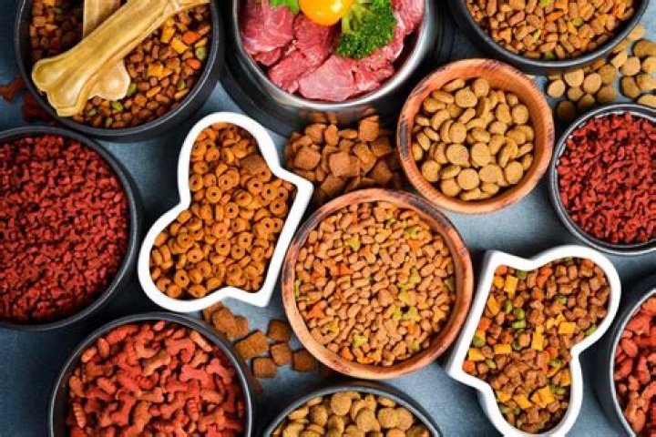 Natural Pet Food Ingredients List PDF: Safe & Healthy Options