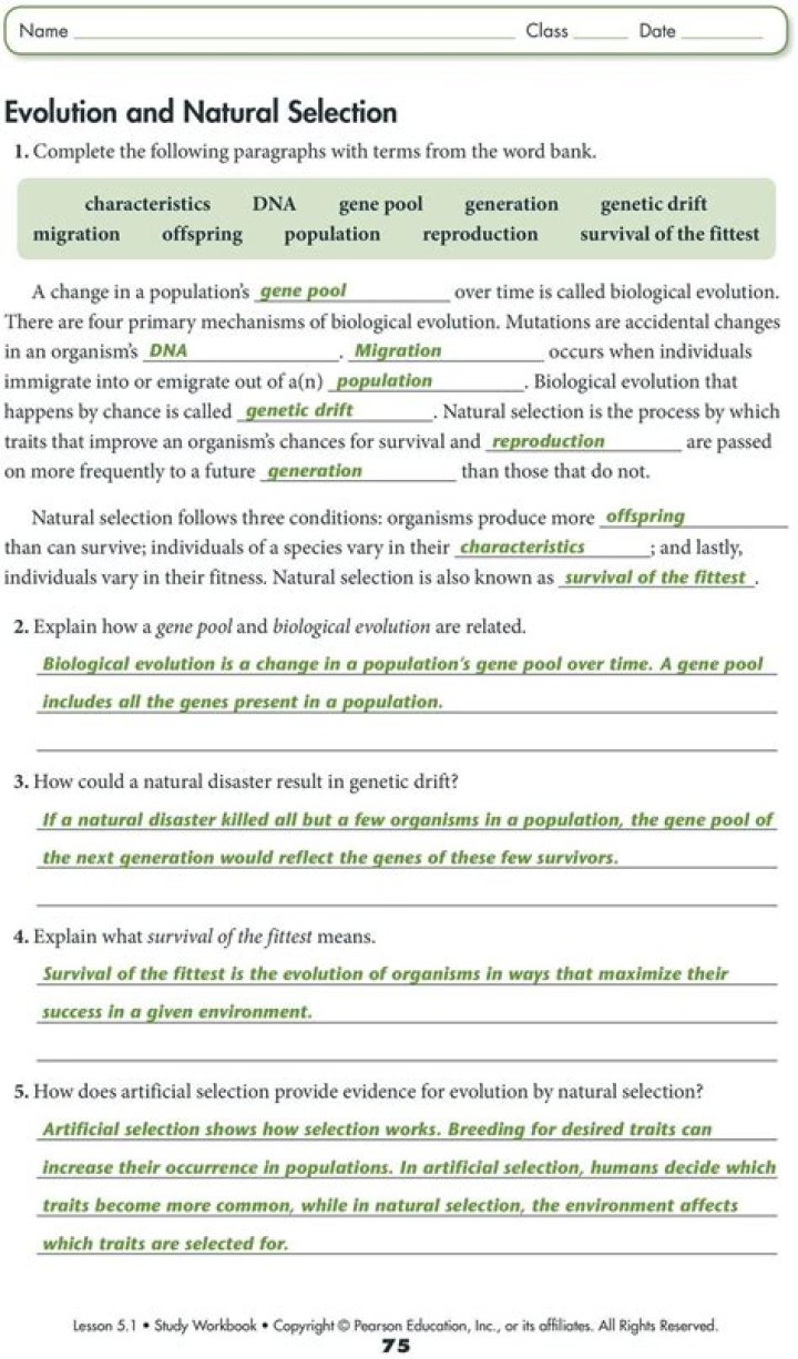 Natural Selection Worksheet for Middle School – Free PDF Download