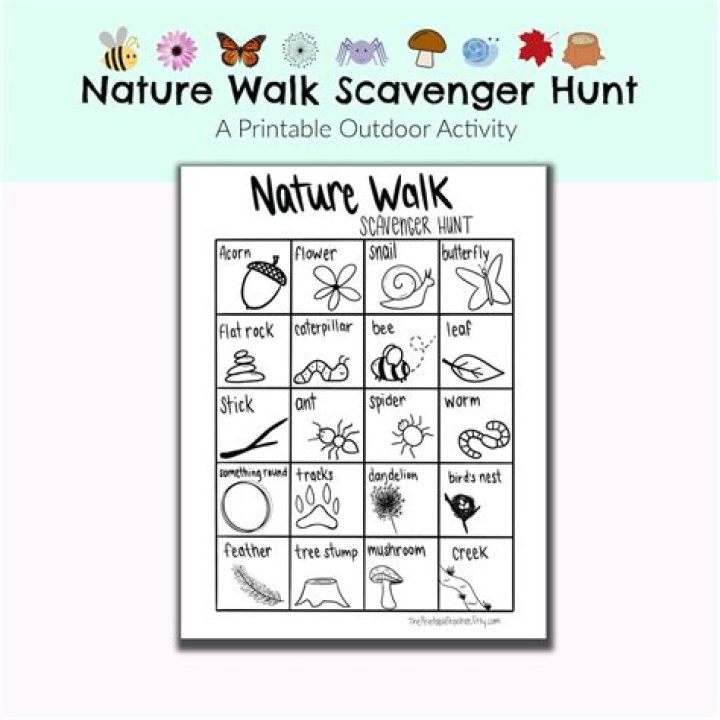 Nature Walk Activity Sheet PDF – Free Printable for Outdoor Fun