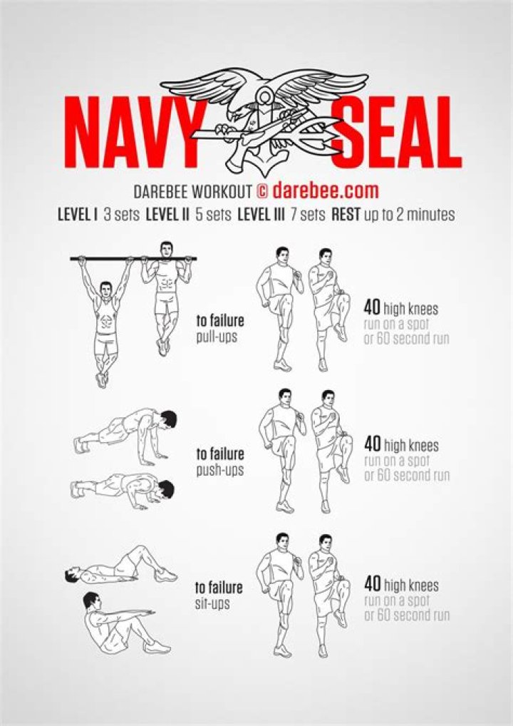 Navy SEAL Training Plan PDF: Master Elite Military Skills