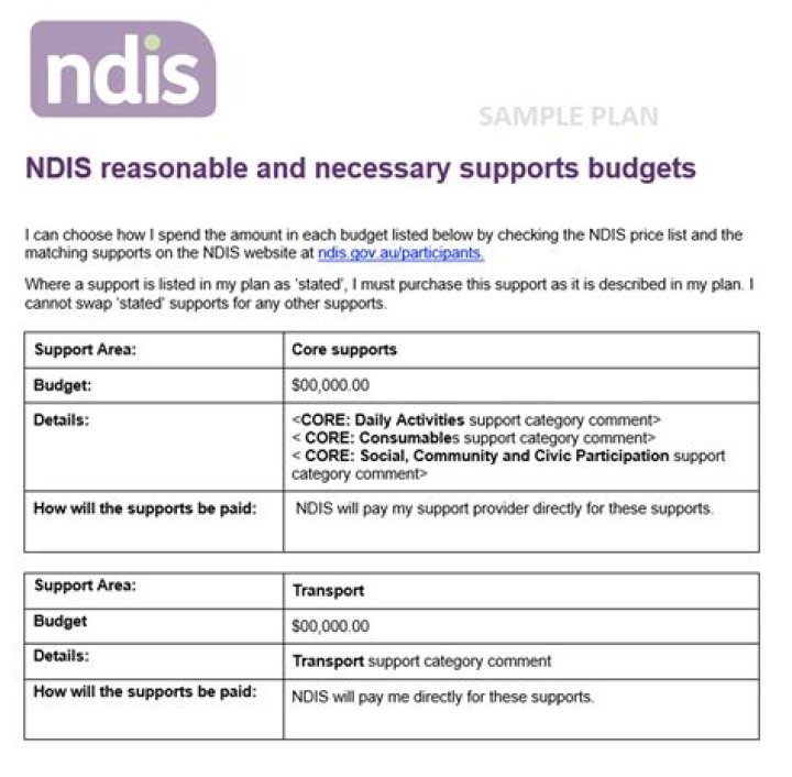 NDIS Plan Example PDF: Free Sample Template for Care Planning