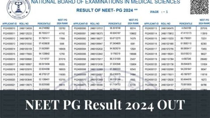 2024 NEET PG Rank List with Top Candidate Names PDF Download