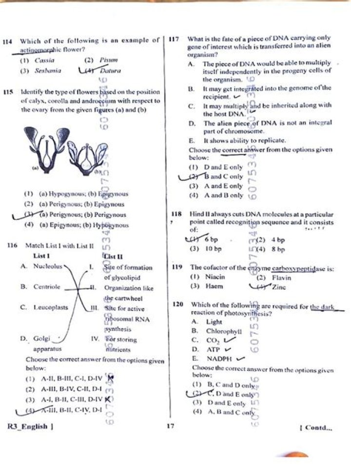 Neet Question Paper PDF Free Download – Exam Practice & Solutions