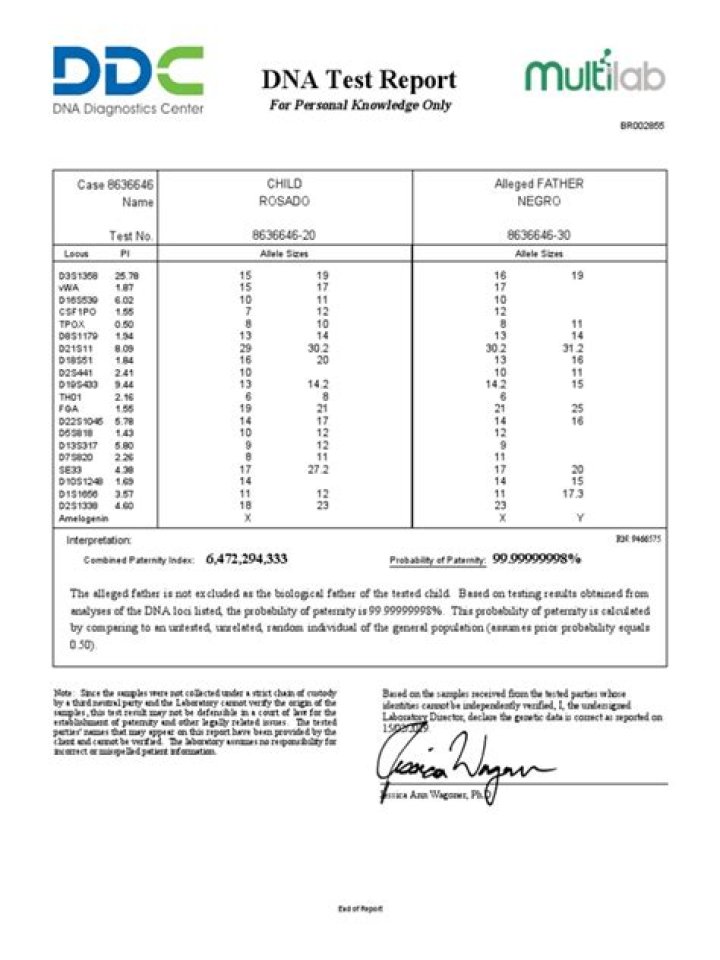 Negative DNA Test Results Paper PDF: What You Need to Know