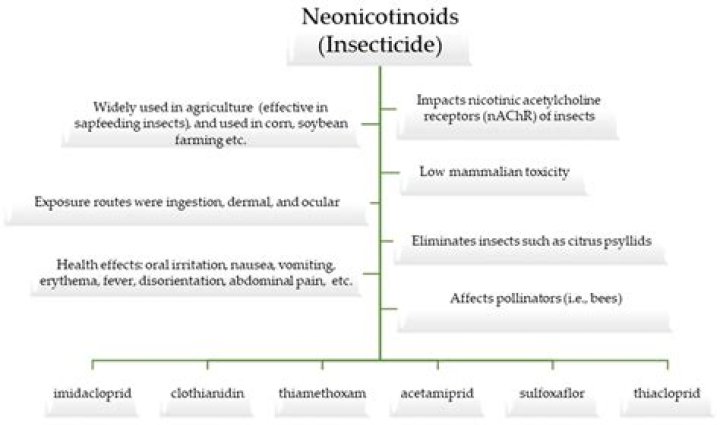 Complete Neonicotinoids Pesticides List PDF: Expert Guide & Safety Info