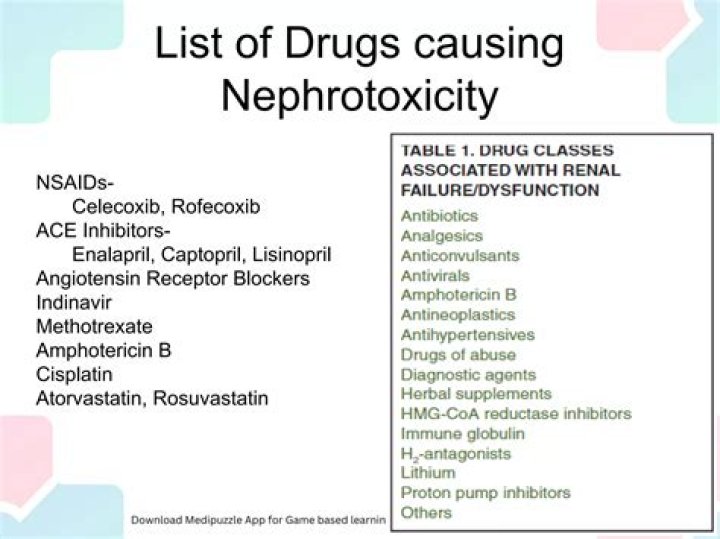 Nephrotoxic Drugs List PDF: Essential Safety Information