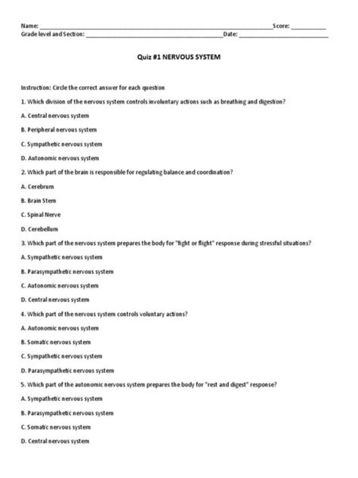 Nervous System MCQs with Answers PDF – Best Study Guide