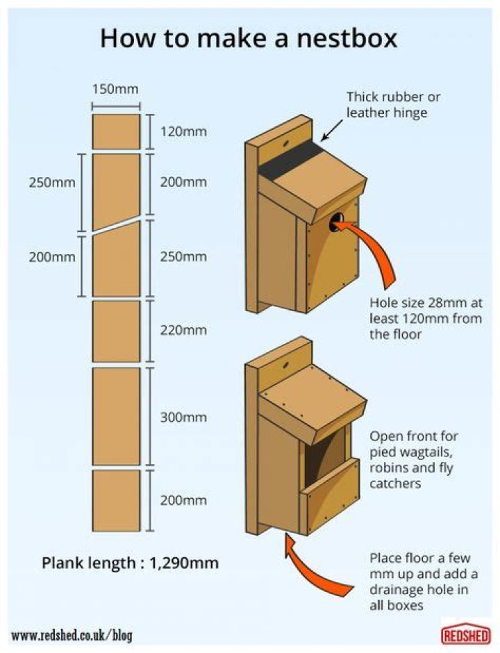 Free Nest Box Plans PDF for DIY Bird Houses
