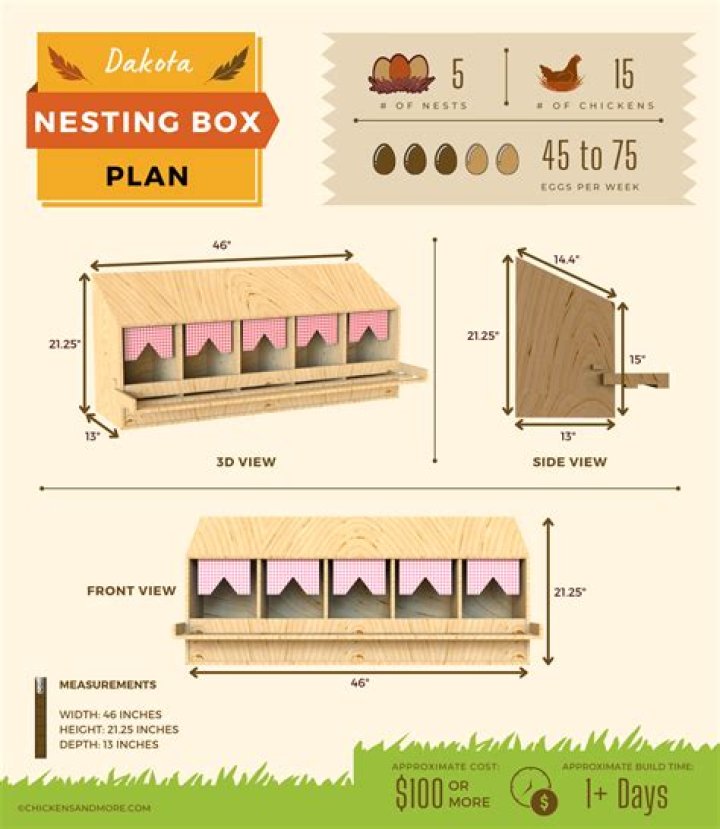 Nesting Box Plans PDF: Easy DIY Birdhouse Plans