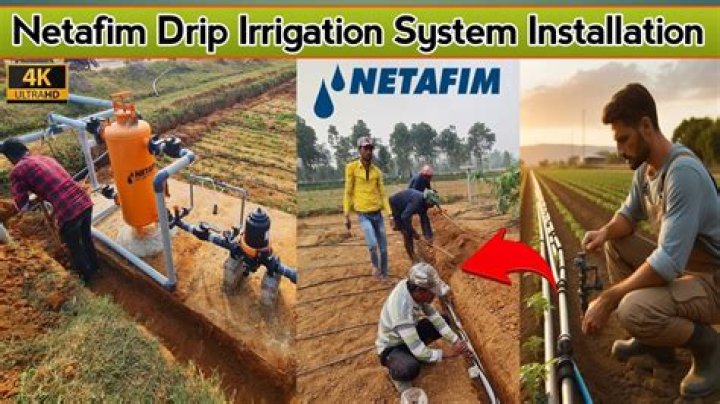 Netafim Drip Irrigation Price List PDF – Cost & Savings Guide