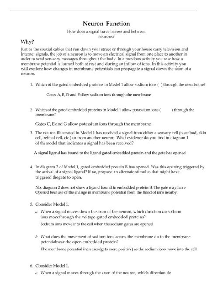 Neuron Function Pogil Answer Key PDF: Study Guide & Answers