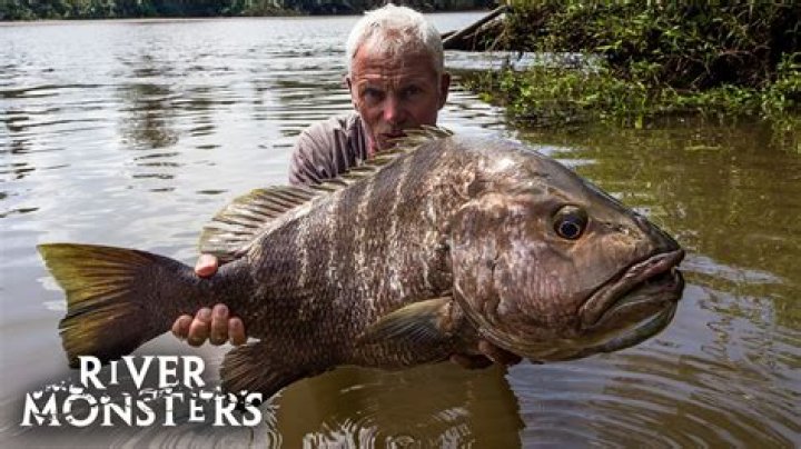 New season of River Monsters Premieres + Jeremy Wade Interview