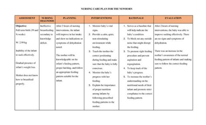 Newborn Nursing Care Plans PDF: Essential Guidelines for Newborn Care