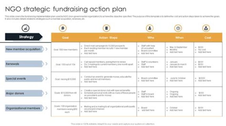 NGO Action Plan Sample PDF for Effective Project Implementation