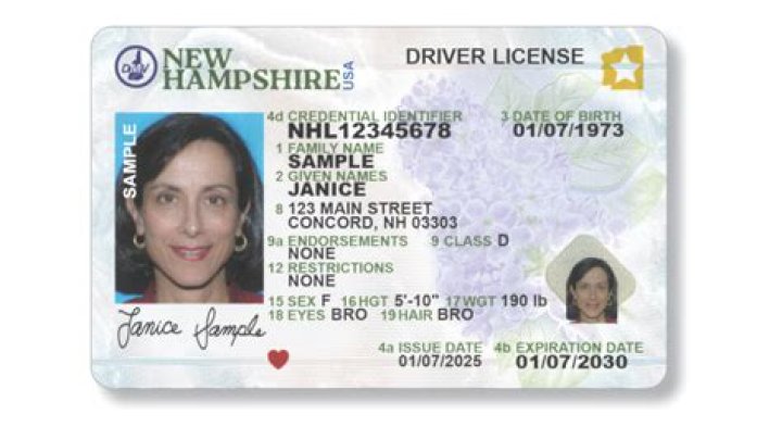 2023 NH License Revocations List PDF – Full Official Record