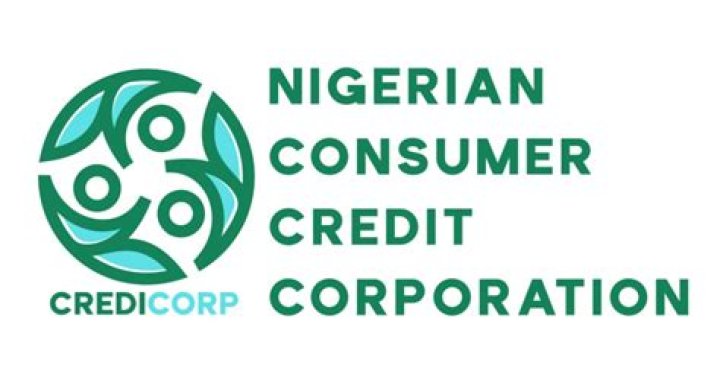 Nigerian Credit Bureau Defaulters List PDF: Access Official Defaulters Data