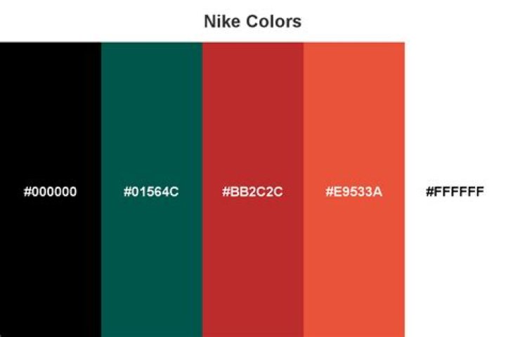 Nike Color Code List PDF: Complete Guide to Accurate Codes