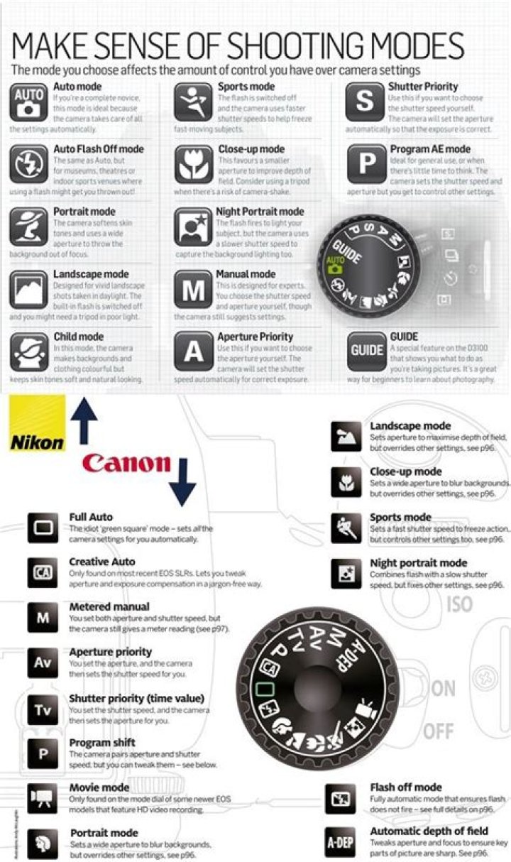 Nikon Camera Settings Cheat Sheet PDF: Master Your Shots Fast