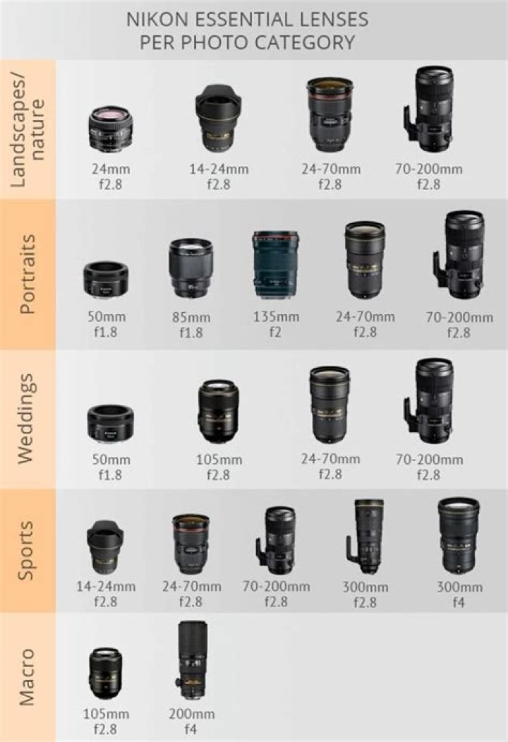 Complete Nikon Lens List PDF: All Models & Compatibility Guide