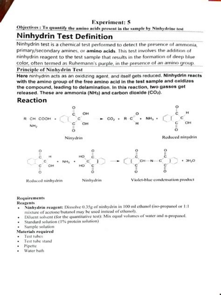 Ninhydrin Test PDF: How to Identify Ammonia and Amino Acids